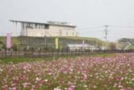 ̤��ۼ��դΥ����⥹