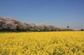 イベント情報